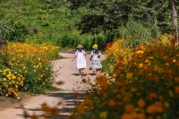 Girls, Road, Flowers.