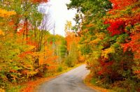 Autumn in Muskoka -  Ontario