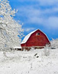 Red Barn on a Winter Day...