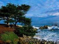 Pacific Grove Coastline, California