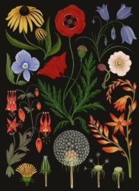 Botanicum