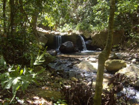 St Kitts Rainforest Waterfall