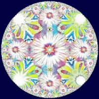 hibiscus fractal