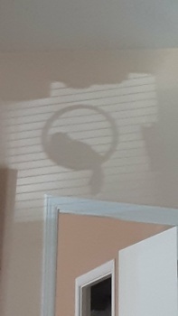 Shadow fun