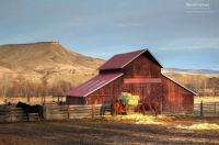 Country Life