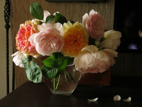 Austin roses in a vase