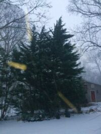 bad photography--catching snow
