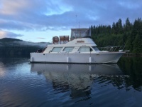 Gypsy in Octopus Islands