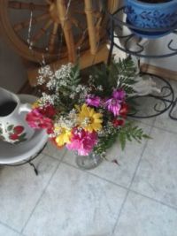 Garden 2018a