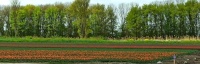 Flevoland; Netherlands   April 10th 2025