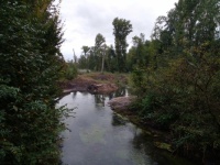 River renaturation project