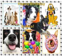 ♥ Happy Birthday Bishka! ♥