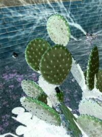 Negative Cactus