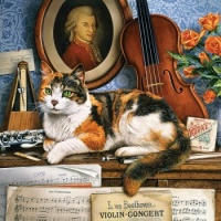 Classical Music Cat - art