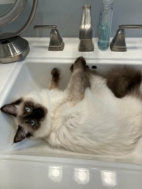See Ma, I'z Fits