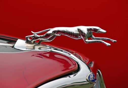 did ford have a greyhound hood ornament