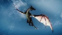 Flying dragon image from Skyrim