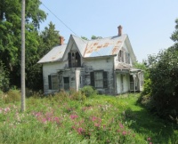 Abandoned House