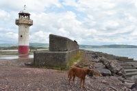 Hodbarrow lighthouse has seen better days😞