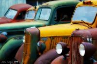 Old trucks in a row