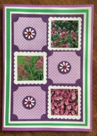 a card I made