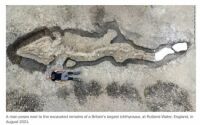 180 Million Year Old Ichthyosaur Fossil Found In UK Reservoir