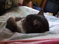 Billy