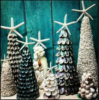 Christmas Trees   ~   Shells