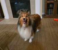 Chase Smiles