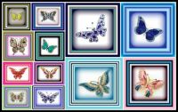 Beautiful Butterfly Brooches