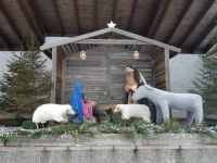 Jouluseimi