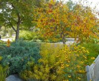 Fall at the Denver Botanic Gardens