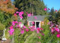 Cottage garden in Occidental, California, by davitydave (pic cropped)