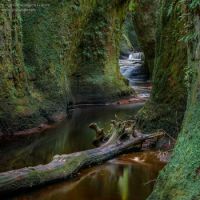 Carnock Burn, Finnich Glen