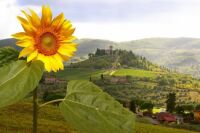 Chianti, located in the Italian Region of Toscana (Tuscany).
