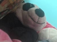 Stuffed Panda