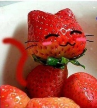 Strawberry Cat (=•́ܫ•̀=)