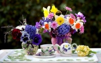 Tea And Flowers