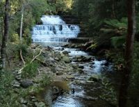 Liffey Falls (2)