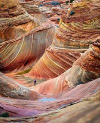 The Wave in Coyote Buttes, an iconic basin of striated orange sandstone just south of the Utah-Arizona state line.