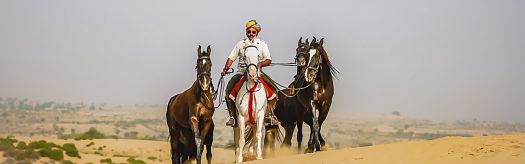 inde-rajasthan-marwari-rando-cheval-aventure-voyage-01