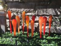 Chihuly @ The Biltmore House