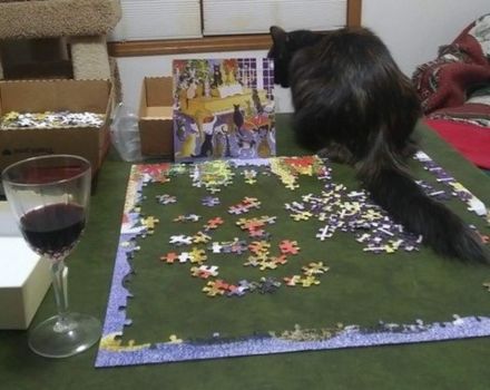 Shirleys Cat Puzzle