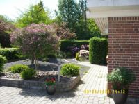 My front garden