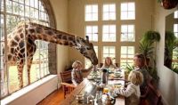 Giraffe Manor in Nairobi, Kenya