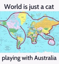 Cat map