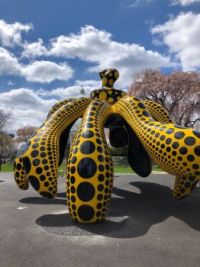 Kusama Octopus 🐙