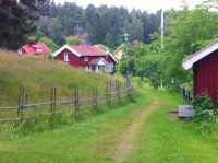 A walking trail in Granvik, Sweden