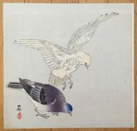 A PAIR OF PIGEONS