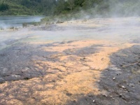 ORAKEI KORAKO - GEYSERLAND- NEW ZEALAND